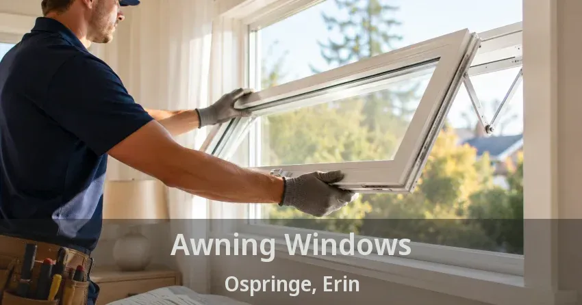 Awning Windows Ospringe, Erin - ON