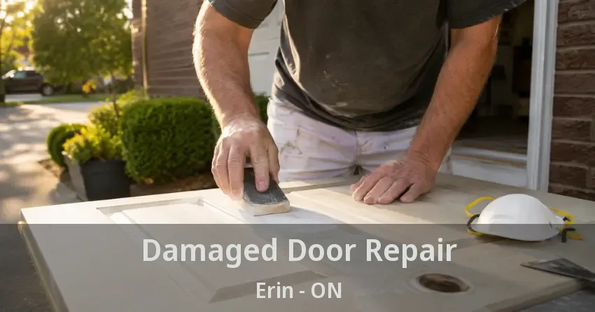 Damaged Door Repair Erin - ON