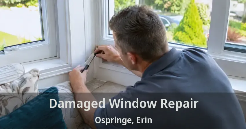 Damaged Window Repair Ospringe, Erin - ON
