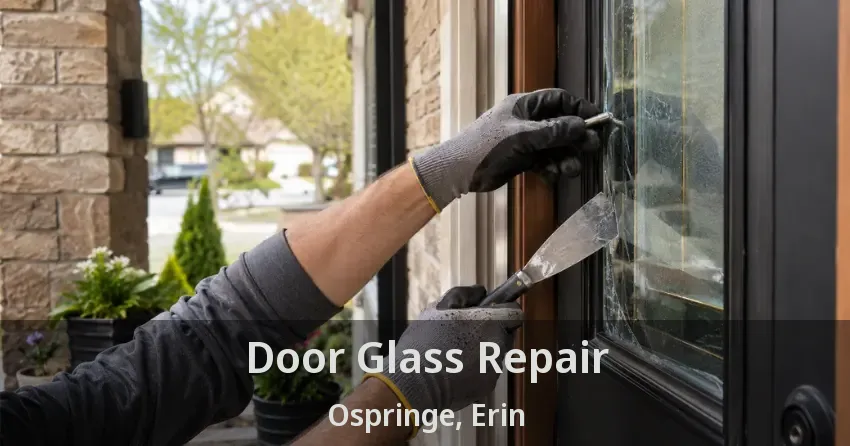 Door Glass Repair Ospringe, Erin - ON