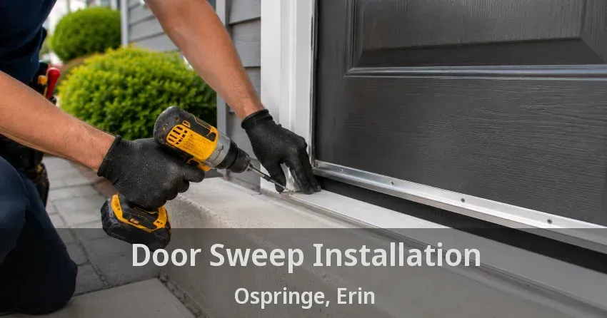 Door Sweep Installation Ospringe, Erin - ON