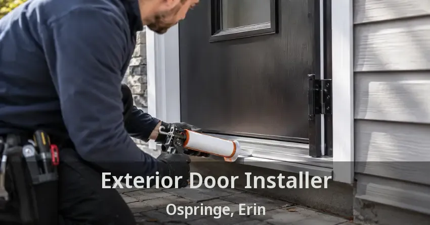 Exterior Door Installer Ospringe, Erin - ON