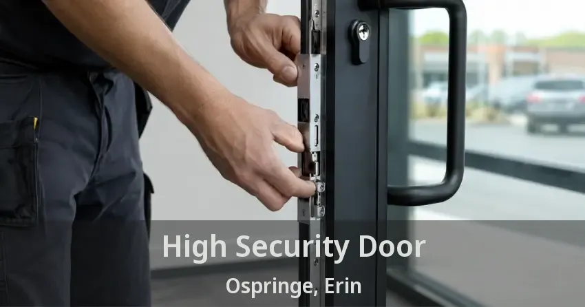 High Security Door Ospringe, Erin - ON