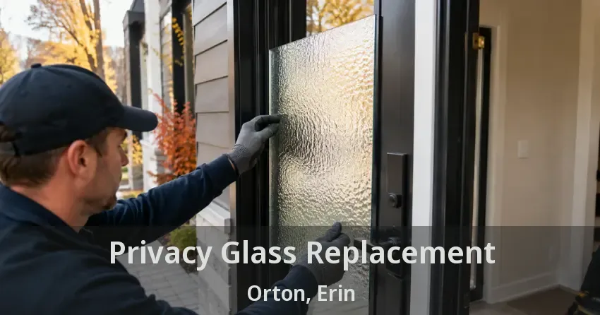 Privacy Glass Replacement Orton, Erin - ON