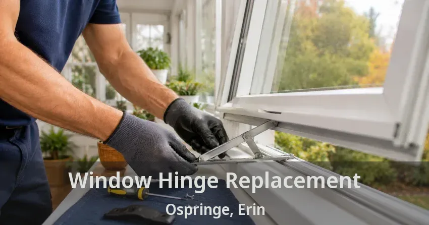 Window Hinge Replacement Ospringe, Erin - ON