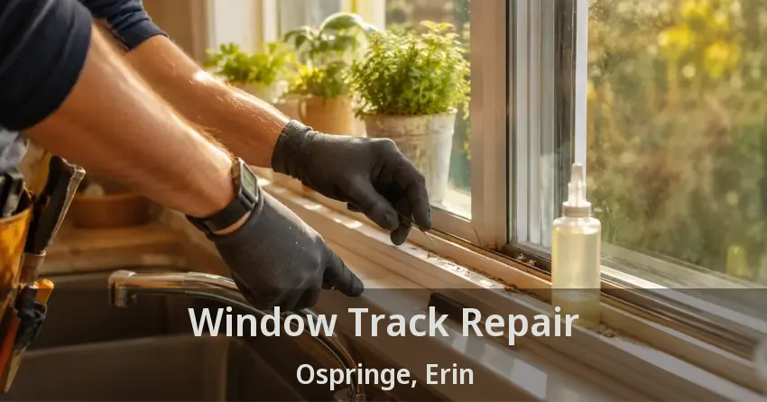 Window Track Repair Ospringe, Erin - ON